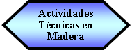 Preparacin: Actividades  Tcnicas en Madera 